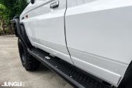 Picture of LC 79 2024+