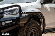 Picture of DMax 2020+